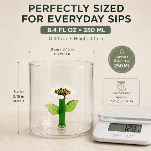 WD Lifestyle Daisy Borosilicate Glass Cup 8.4 Fl Oz - Clear Floral Drinking Glass