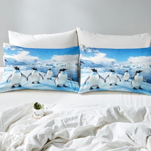 Manfei Blue Queen Fitted Sheet Set with Pillowcases, Cartoon Penguin Snow Mountain Bedding, Kids Girls Bedroom Decor, 60x80 Inches