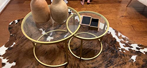 Round Nesting Coffee Table Set of 2, Modern Gold Metal and Tempered Glass