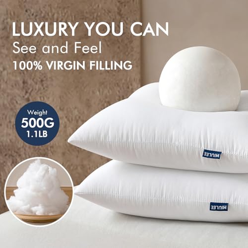 MIULEE 18x18 Throw Pillow Inserts 2 Pack, Fluffy Couch Pillow Forms