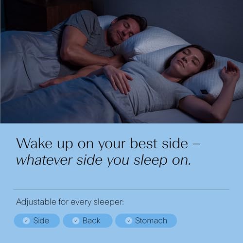 DreamyBlue Adjustable Shredded Memory Foam Pillow - Queen Size Bed Pillow