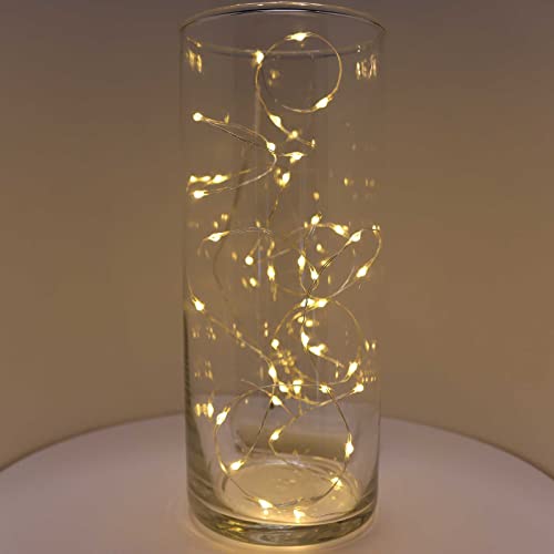 QBIS 40 Warm White Battery-Operated Fairy Lights, Silver Wire, 6.5ft - 1PK