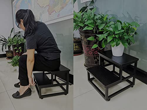 Heavy Duty 2-Tier Step Stool, Metal & Wood Non-Slip Stool for Kitchen
