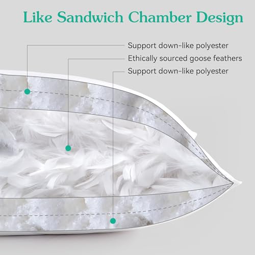 Medium Firm Queen/Standard Goose Feather Pillow - 600 Thread Count Cotton
