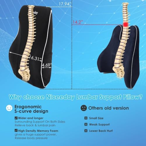 Ergonomic Lumbar Support Pillow for Office Chair & Car