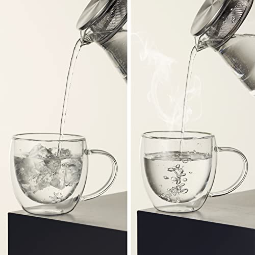 CNGLASS 8.5oz Set of 4 Double Wall Insulated Glass Coffee Mugs with Handle
