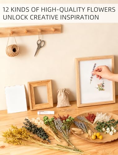 Natural Dried Flowers Bouquet Set (12 Kinds) for DIY Crafts & Vase Decor