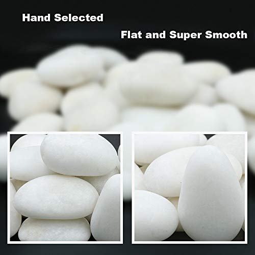 20 Natural White Rocks for Painting - 2"-3.5" Smooth Flat Craft Stones