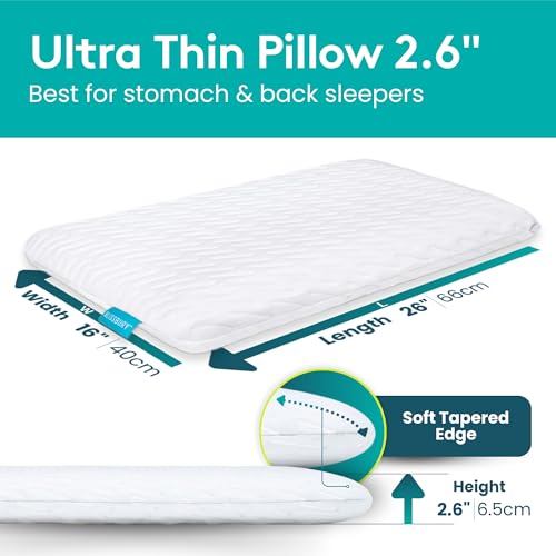 Thin Flat Memory Foam Pillow for Stomach Sleepers - 2.6 Inch