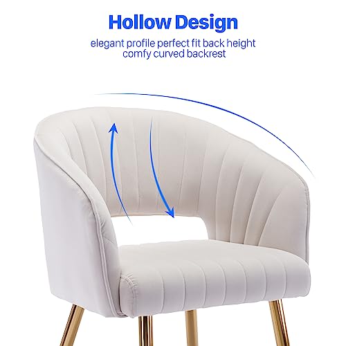 Modern Velvet Upholstered Accent Chair with Gold Legs, Cream