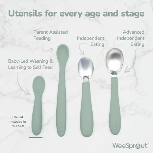Silicone Baby Spoons for Self Feeding with Carrying Case, 3 Pack