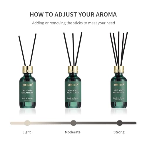 Wild Mint & Eucalyptus Reed Diffuser Set with 8 Sticks - 3.38 fl oz