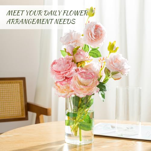 12-Pack Clear Glass Cylinder Vases 6 Inch Tall for Wedding Centerpieces