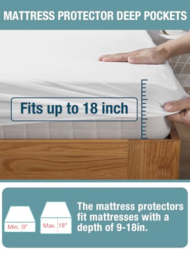Bedecor Queen Waterproof Mattress Protector - Fitted Terry (9"-18" Deep Pocket)