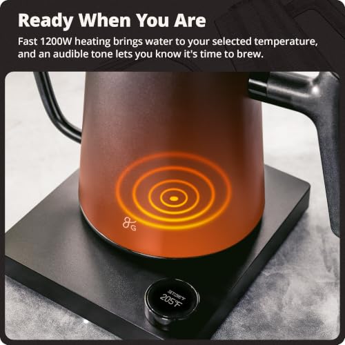 Greater Goods Onyx Black 0.8L Electric Gooseneck Kettle 1200W Temperature Control