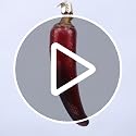 Old World Christmas Red Chili Pepper Glass Ornament – Handcrafted Holiday Decoration, Pepper Variation