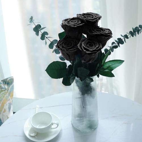 Preserved Rose Gift Set (5 Roses) for Mom Grandma - Eternal Real Rose, 30-32 cm stems