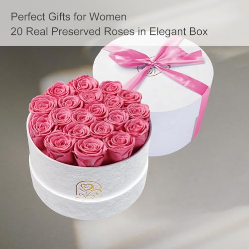 20 Preserved Real Roses in Luxury Velvet Gift Box - Long Lasting Flowers