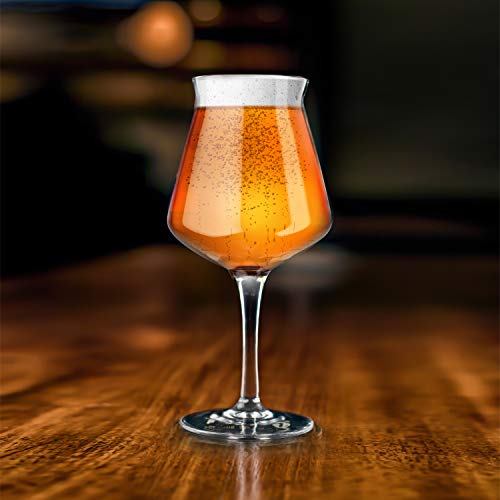Nucleated Teku Stemmed Beer Glass - 14.2 oz Craft Beer Tasting Glass