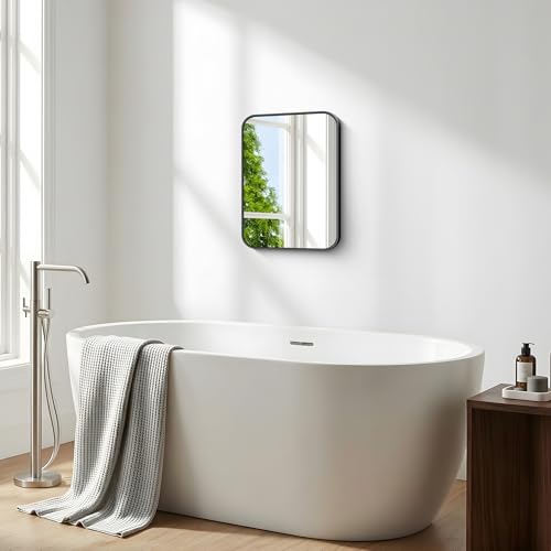 30x36 Inch Rectangle Bathroom Vanity Mirror, Black Framed Wall Mirror