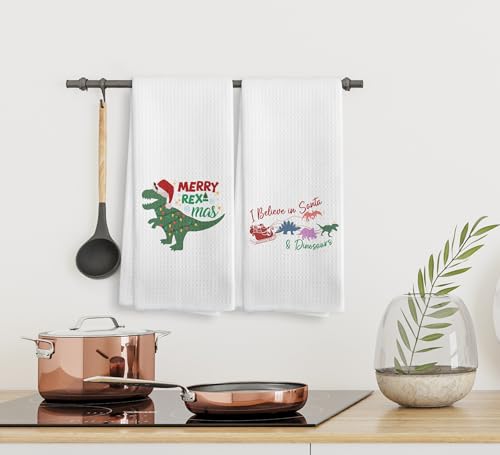 Christmas Dinosaur Kitchen Towels and Dishcloths Set of 2 - Merry Rexmas Santa T Rex Drying Cloths, 16x24 Inch, Home Decor Gift
