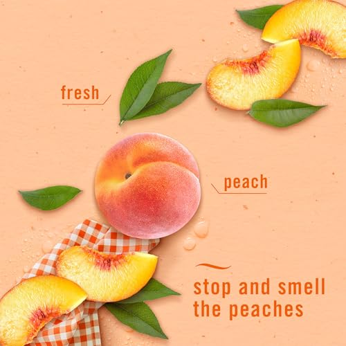 Plug-In Scented Oil Air Freshener Refills, Juicy Summer Peaches - 4 Pack