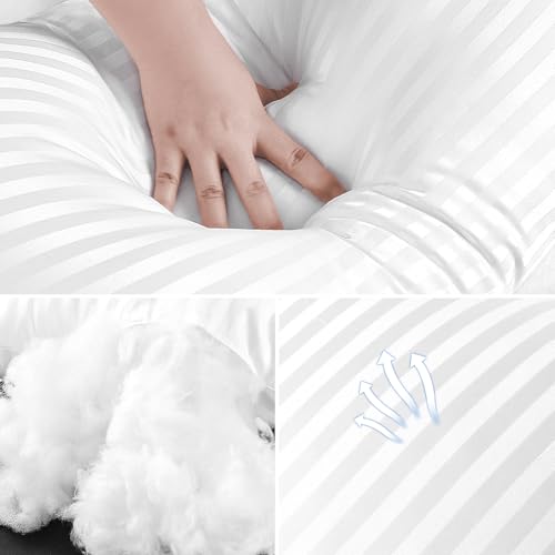 EIUE 20x20 Throw Pillow Inserts (2-Pack) - Soft Polyester Cushion Forms