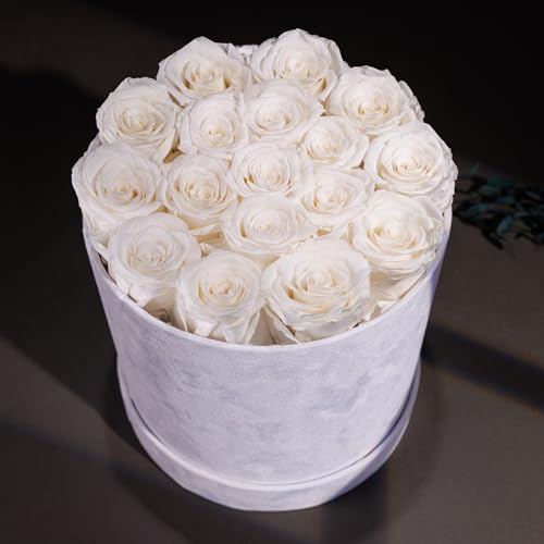17 Preserved Real Roses in Luxury Velvet Gift Box - Eternal Flowers