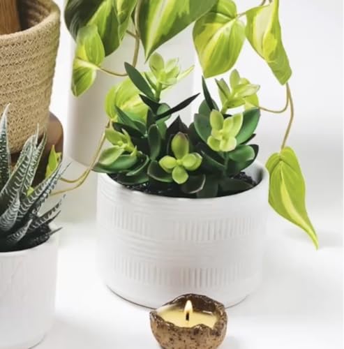 Artificial Succulent in White Ceramic Pot, 7.5-Inch Faux Plant Decor