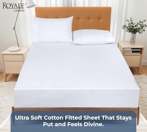 Royale Linens 100% Organic Cotton Twin XL Fitted Sheet - Deep Pocket White