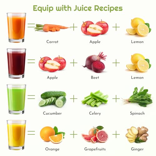 Juicer Attachment for Stand Mixers - Cold Press Fruit & Vegetable Extractor