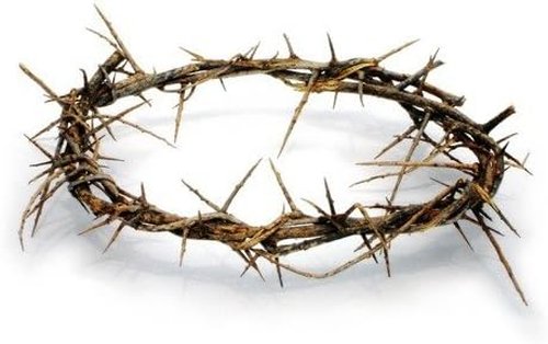 Holy Land Imports Crown of Thorns | Authentic Passion of Christ Gift Box with Description