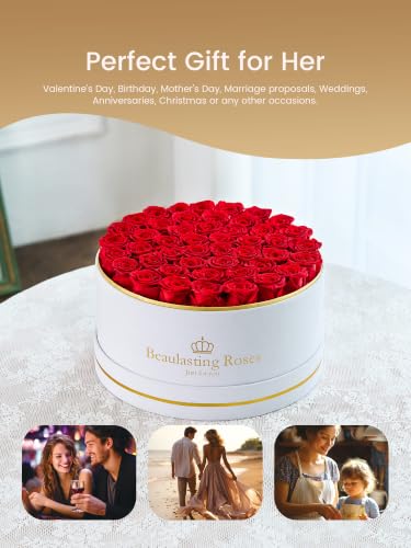 47 Preserved Red Roses in Luxury Velvet Box - Long Lasting Eternal Flowers