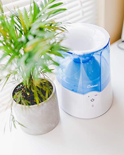 Warm Mist Humidifier and Personal Steam Inhaler, 0.5 Gallon