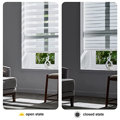 Cordless Zebra Roller Window Shades - Dual Layer Light Control (24" x 72")
