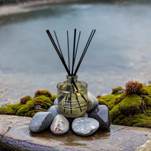 Driftwood Sand Reed Diffuser Set, 6 oz Glass Home Fragrance (Pack of 2)
