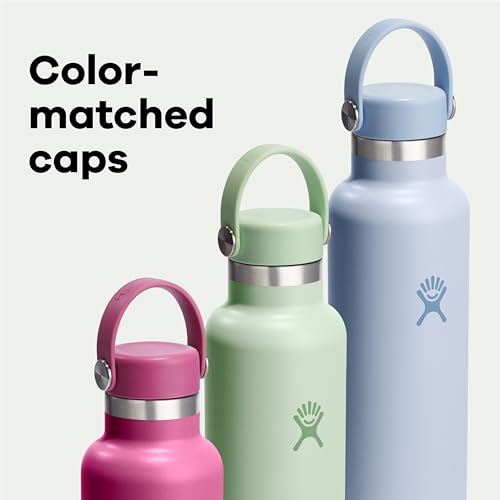 Insulated Stainless Steel Water Bottle 21 Oz Leakproof