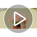 Handmade Crochet Pink Myosotis Flower Doll with Heartfelt Sister Gift Card