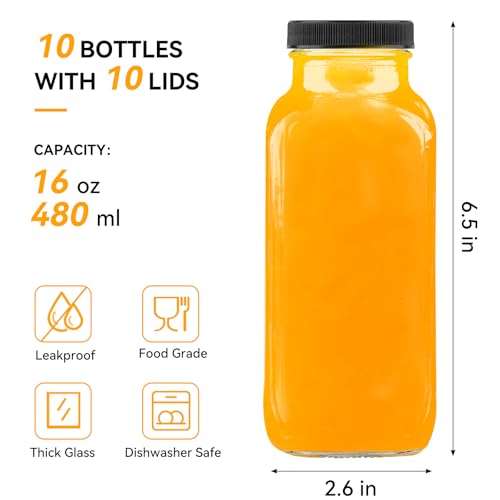Kucoele 16oz Glass Juice Bottles with Airtight Lids & Straws - Pack of 10