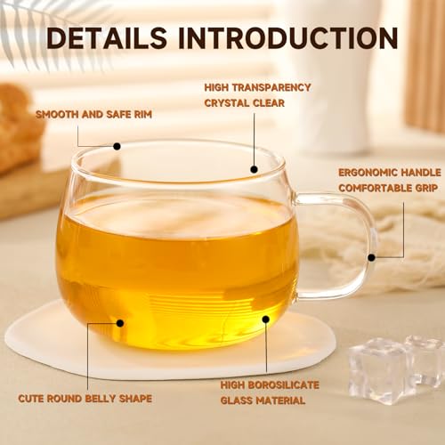 GURUDAR 12OZ/360ML Set of 2 Borosilicate Glass Tea Cups with Handles - Microwave & Dishwasher Safe