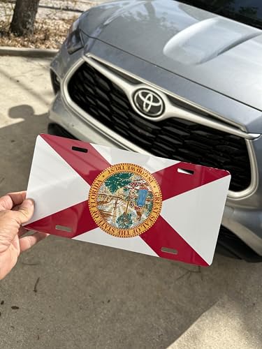 Florida Sunshine State Aluminum Vanity License Plate - 6x12 Inch Auto Decor