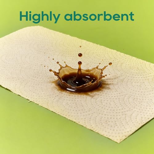 Bamboo Kitchen Paper Towels - 2-Ply Absorbent Tree-Free Towels (8 Rolls)