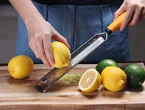 Stainless Steel Citrus Lemon Zester & Cheese Grater with Protective Cover