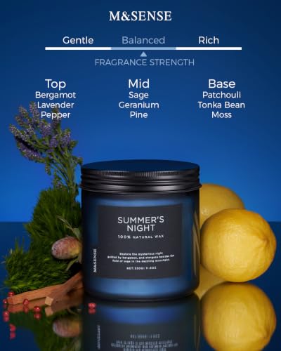 Natural Soy Wax Scented Candle - 11.6oz Long-Lasting Aromatherapy (70 Hours)