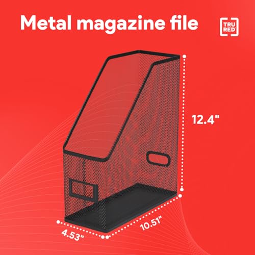 Metal Mesh Magazine File Organizer - Desktop Document Holder with Handle