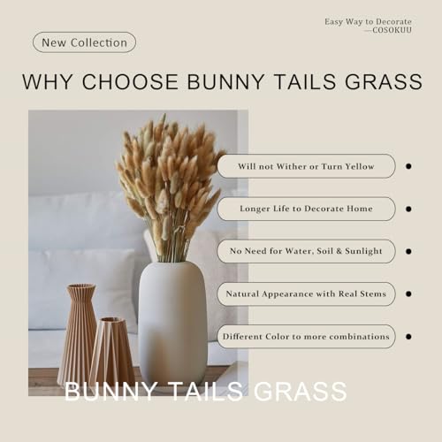 100pcs Dried Bunny Tail Grass Stems - 17 Inch Burnt Orange Boho Decor
