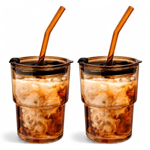 13oz Glass Iced Coffee Tumbler with Lid and Straw, 2-Piece Reusable Cup