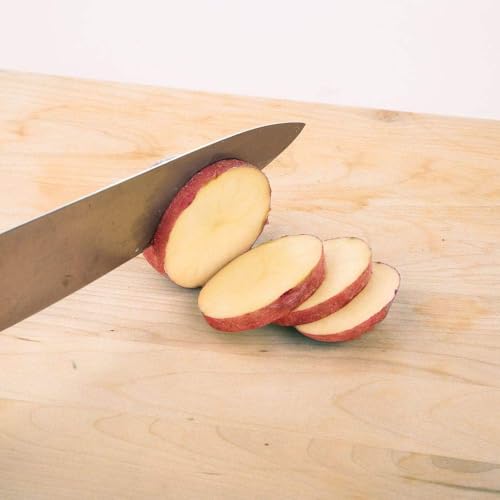 PrepWorks Tower Fry Cutter – Heavy-Duty Potato Cutter for Perfect Fries, Easy-to-Use, Stainless Steel Blades, BPA-Free