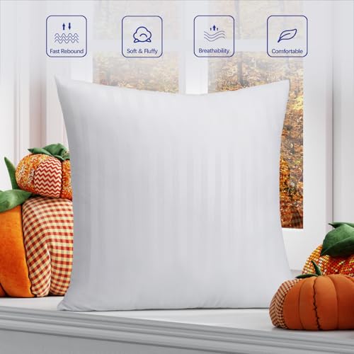 OKBA 16x16 Throw Pillow Inserts - Set of 2 Soft Cotton Cushion Fillers