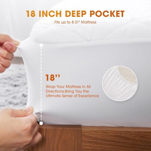 Queen Heated Mattress Pad with Dual Control & 12 Heat Settings